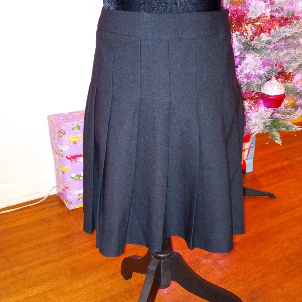 Black Pleated High Waisted Mini Skirt
